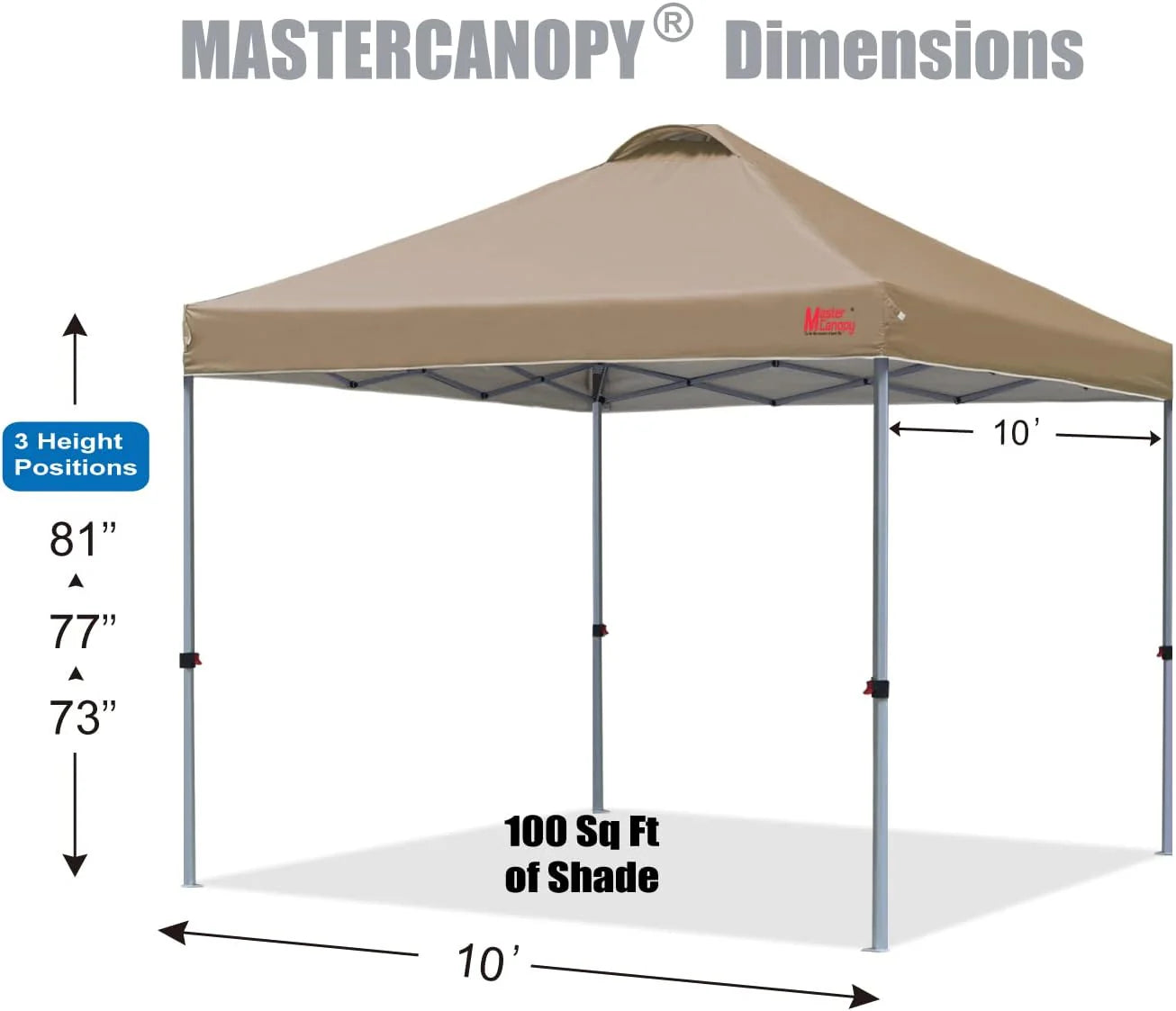 Durable Pop-up Canopy Tent with Roller Bag (10x10, Black)