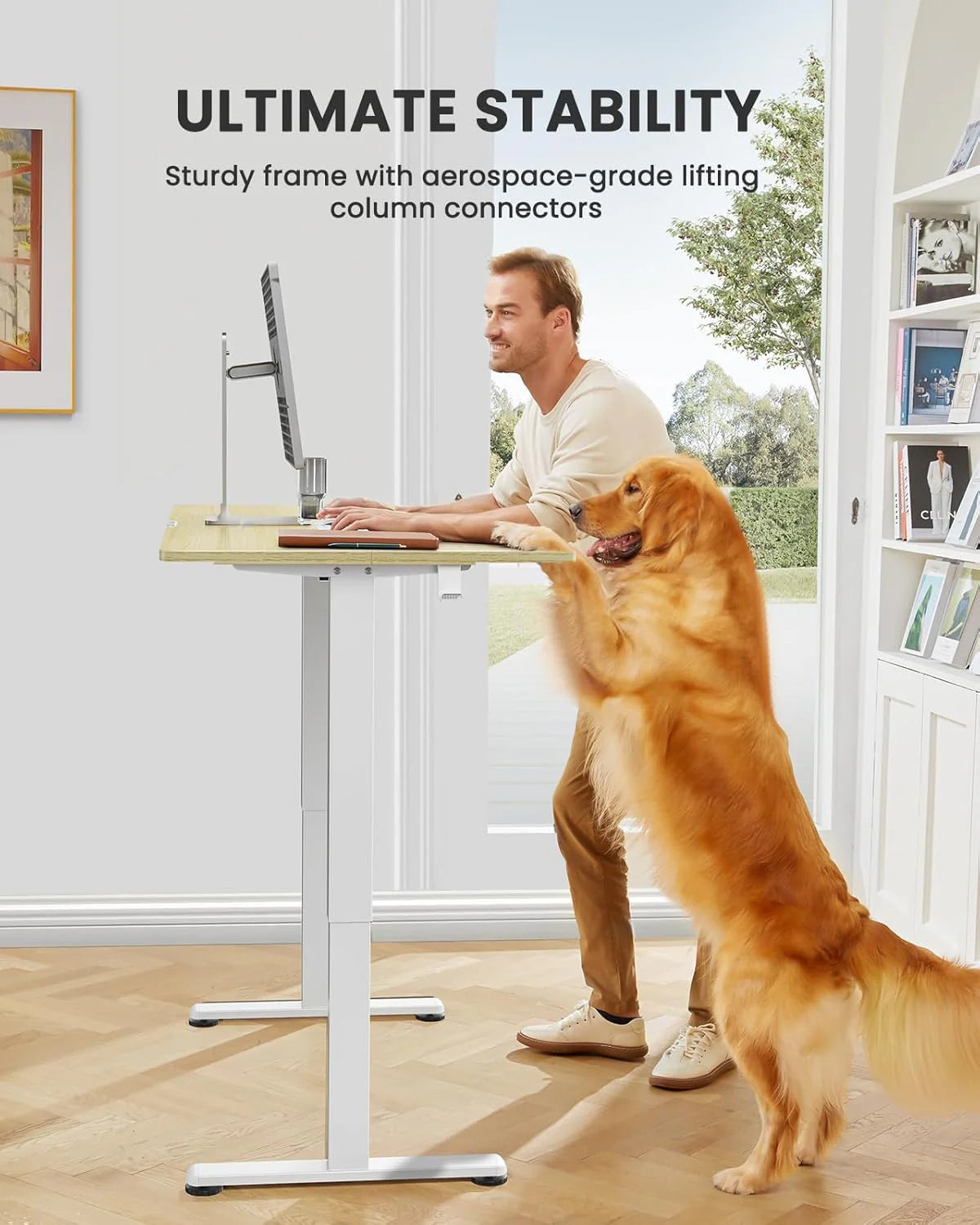 Height Adjustable Electric Standing Desk 47.2 x 23.6 Inches