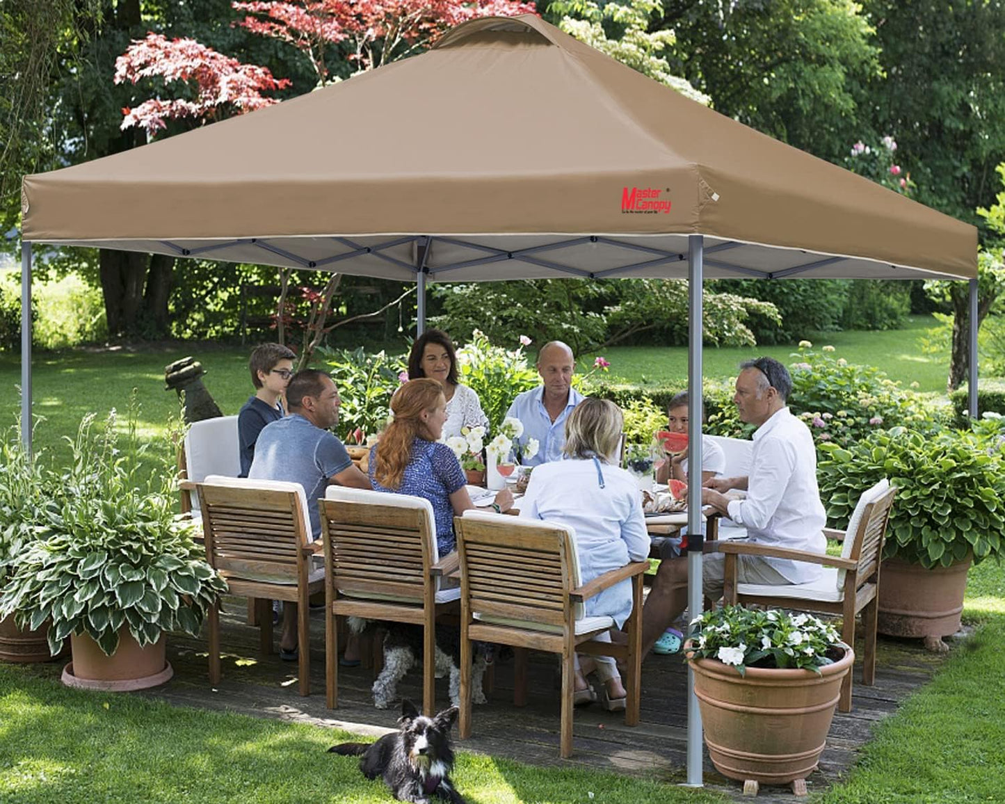 Durable Pop-up Canopy Tent with Roller Bag (10x10, Black)