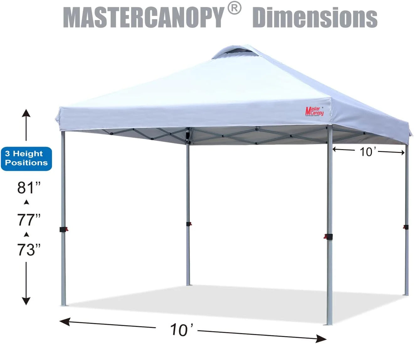 Durable Pop-up Canopy Tent with Roller Bag (10x10, Black)