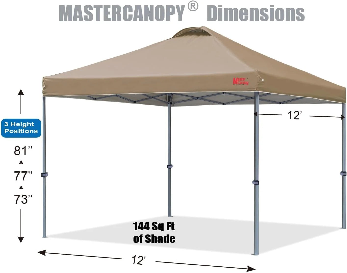 Durable Pop-up Canopy Tent with Roller Bag (10x10, Black)