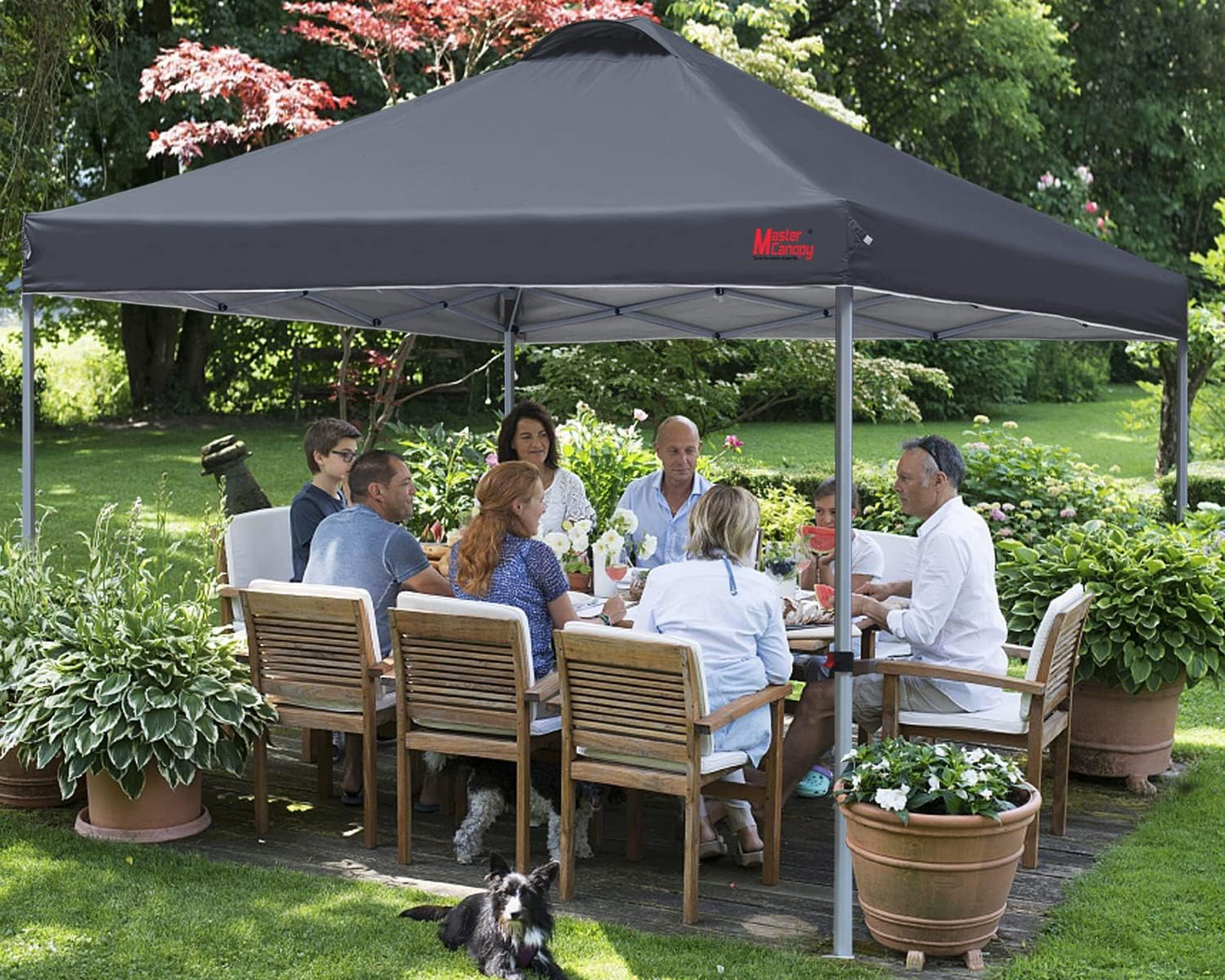 Durable Pop-up Canopy Tent with Roller Bag (10x10, Black)