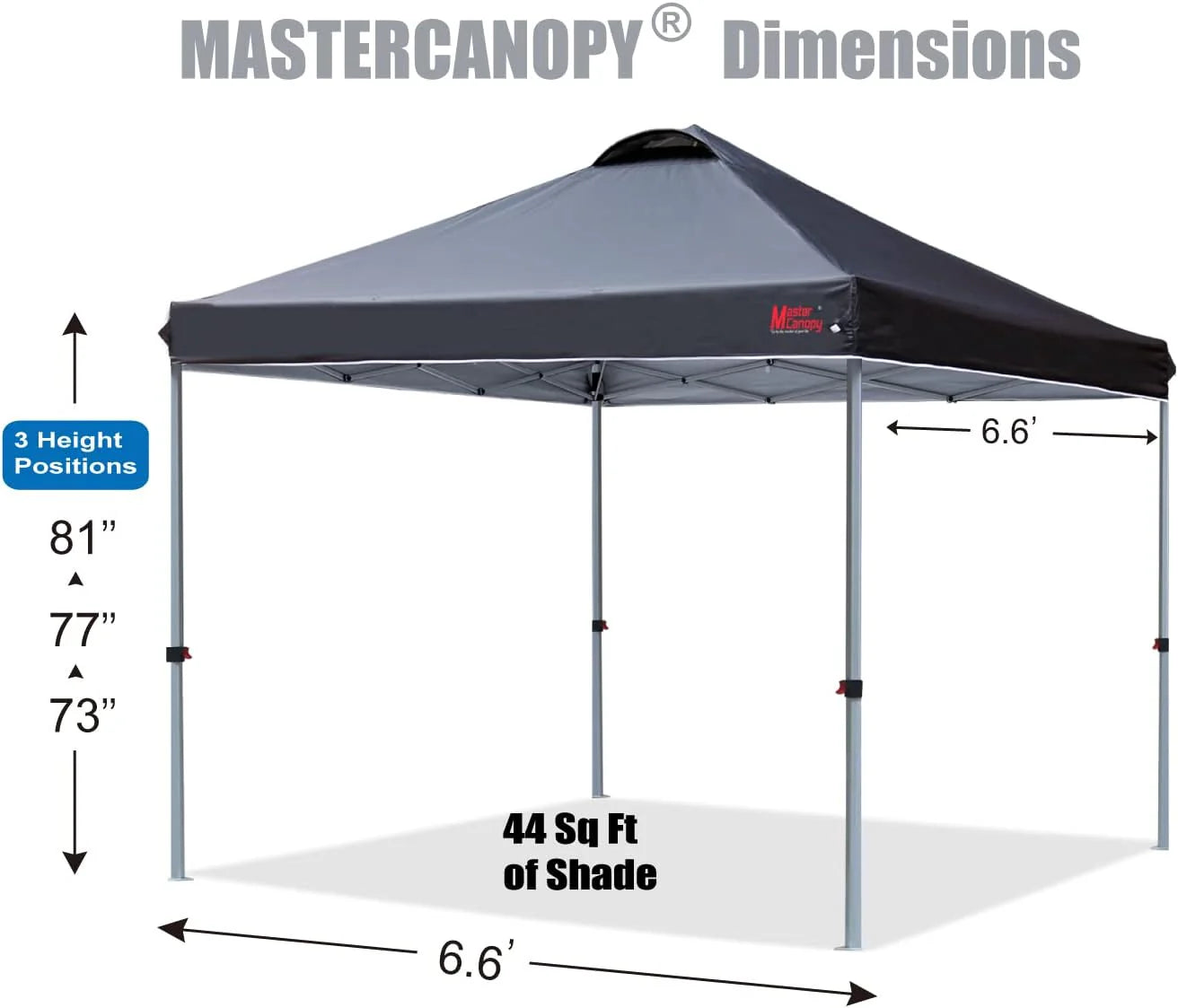 Durable Pop-up Canopy Tent with Roller Bag (10x10, Black)