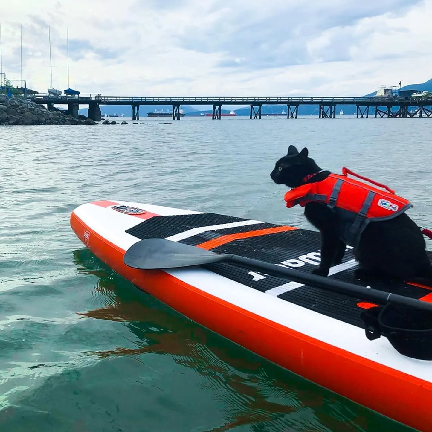 FunWater Inflatable Stand Up Paddle Board with Premium SUP Paddle Accessories, Non-Slip EVA Deck, 11'/10'6' Paddle