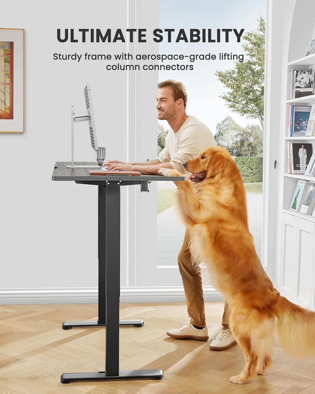 Height Adjustable Electric Standing Desk 47.2 x 23.6 Inches